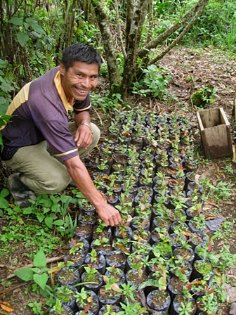 tree nursery