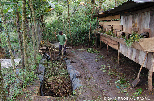 organic fertilizer