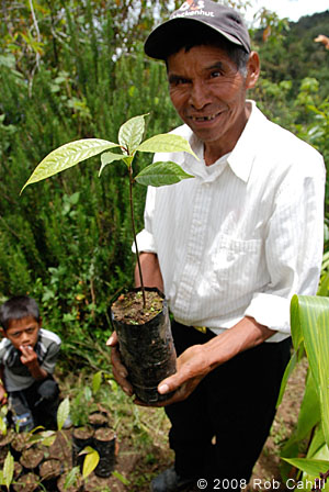 tree nursery