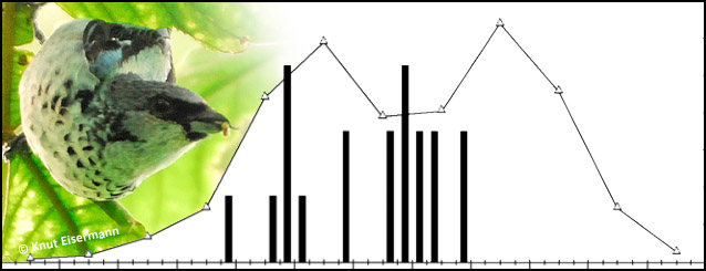 Natural history of birds in Guatemala